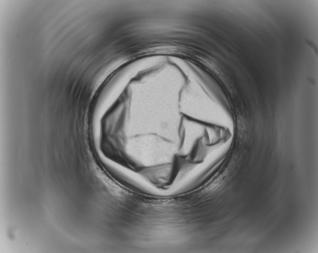 X0000099531426200806131117