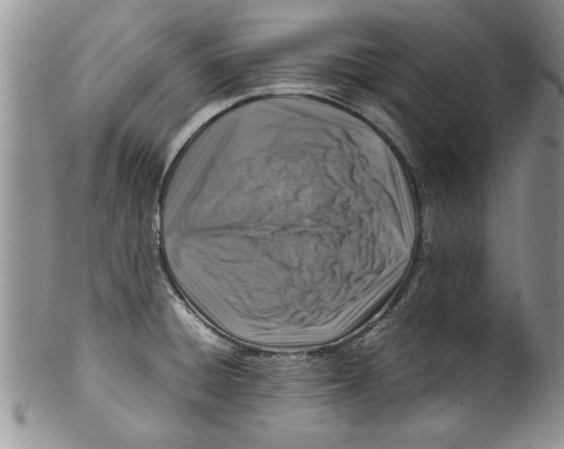 X0000099531428200806131118