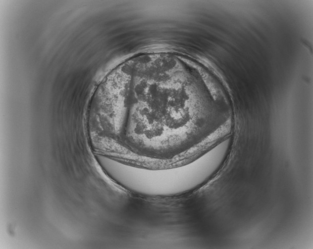 X0000099531429200806131118