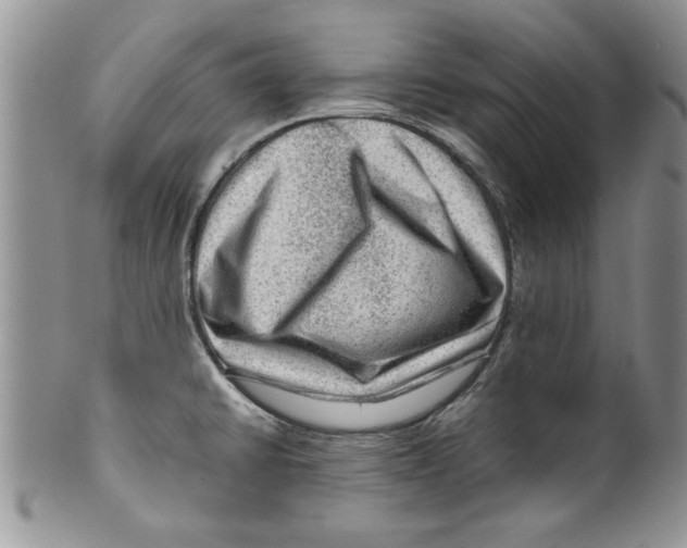 X0000099531430200806131118