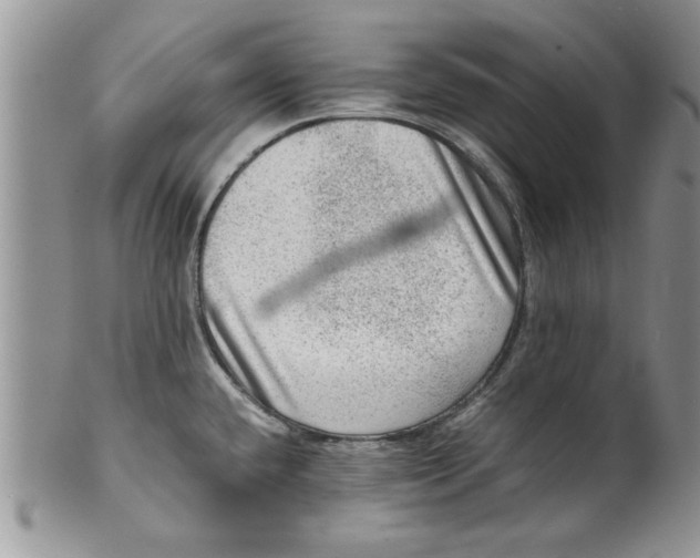 X0000099531432200806131118