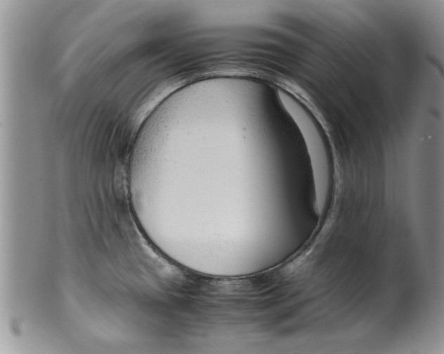 X0000099531433200806131118