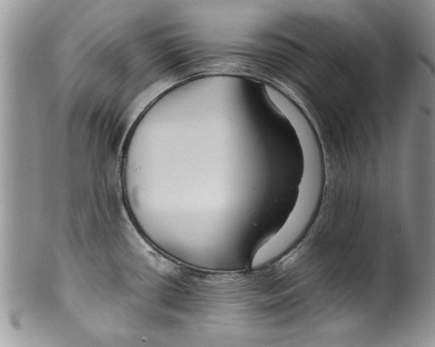 X0000099531434200806131118