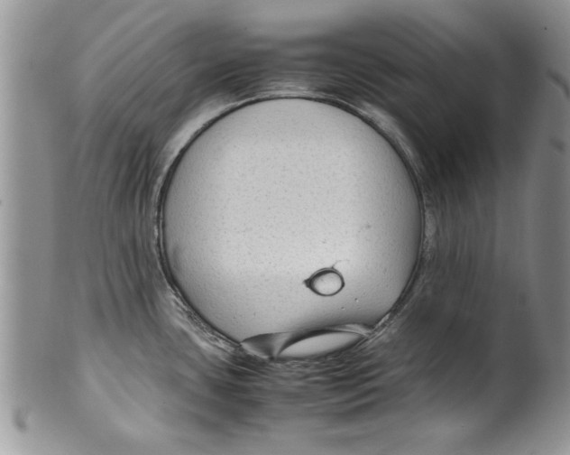 X0000099531435200806131118