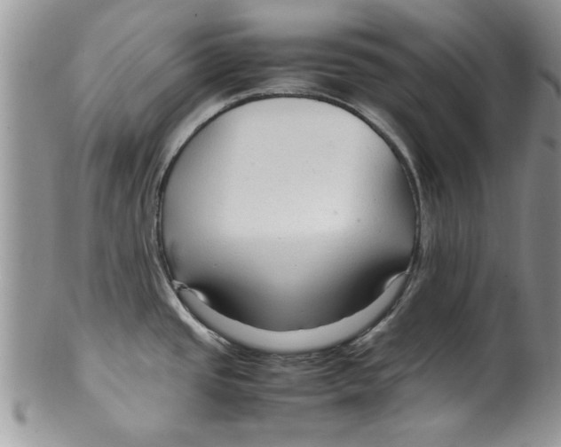 X0000099531437200806131118