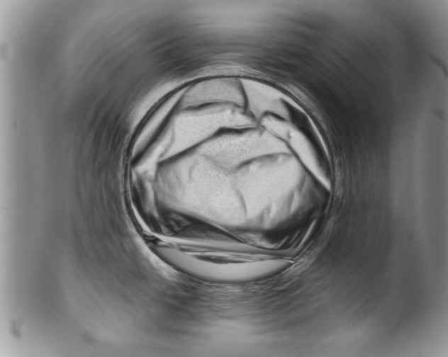 X0000099531438200806131118