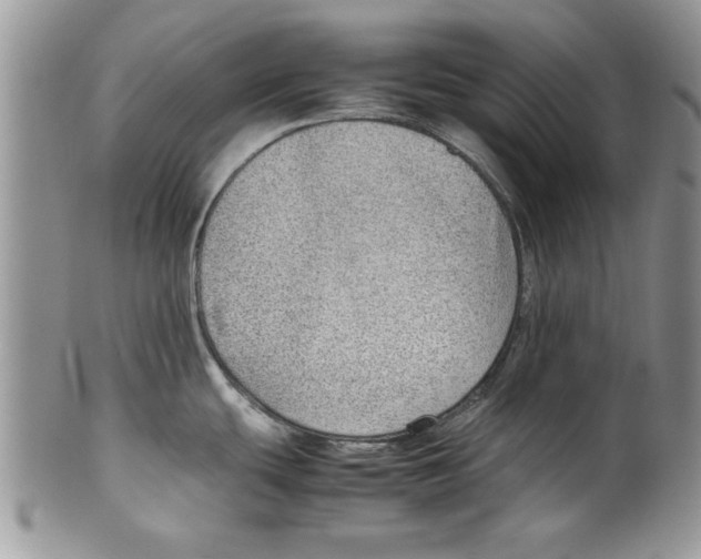 X0000099531439200806131118