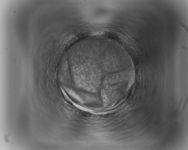 X0000099531441200806131117