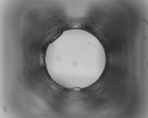 X0000099531442200806131117