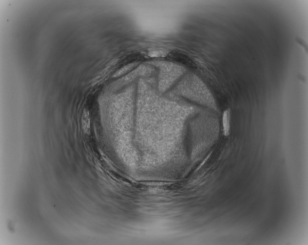 X0000099531443200806131117