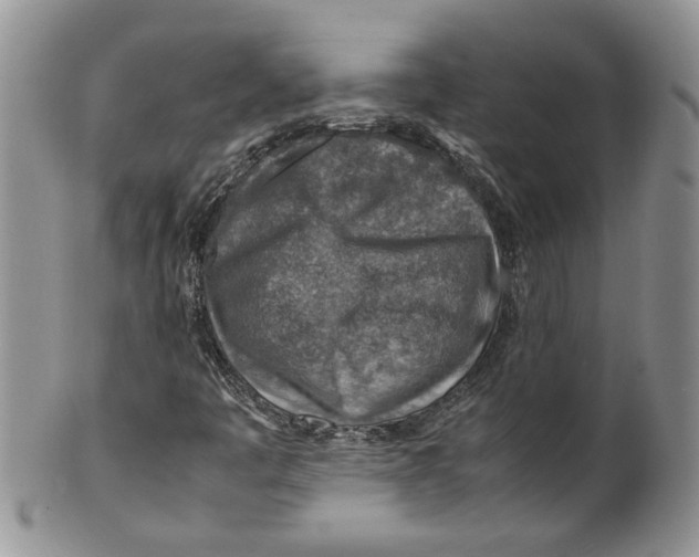 X0000099531445200806131117