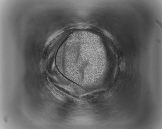 X0000099531448200806131117