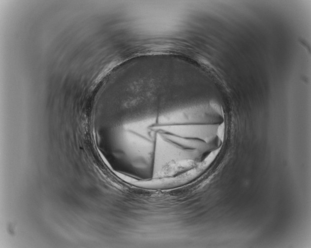 X0000099531449200806131117