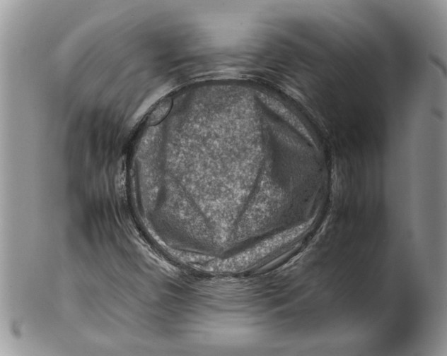 X0000099531450200806131117