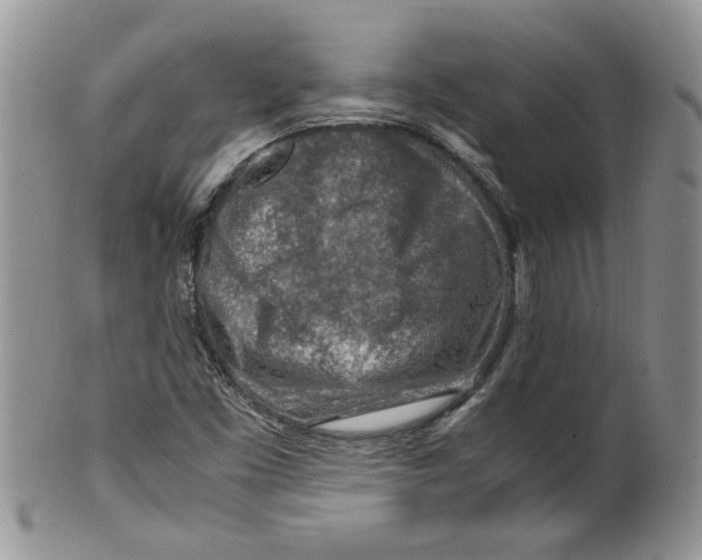 X0000099531453200806131117