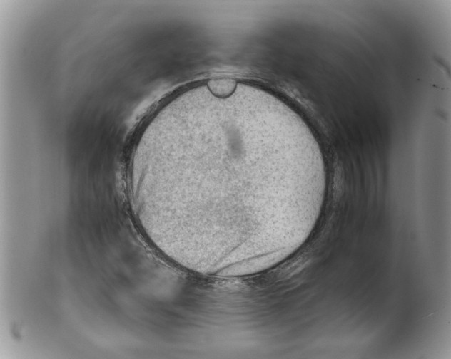 X0000099531454200806131117