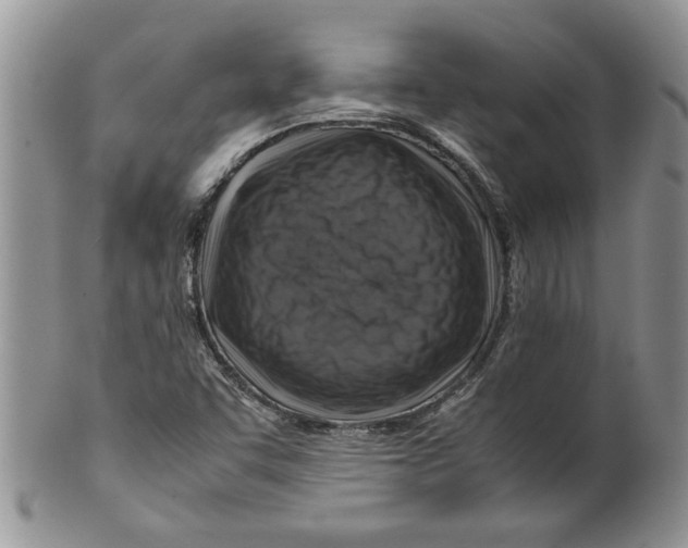 X0000099531455200806131117