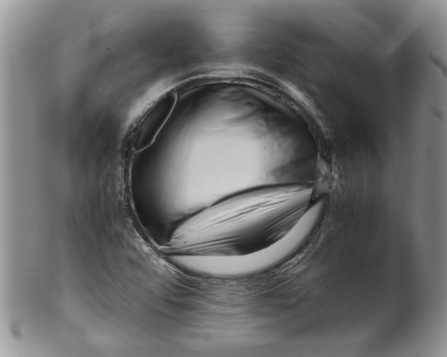 X0000099531456200806131117