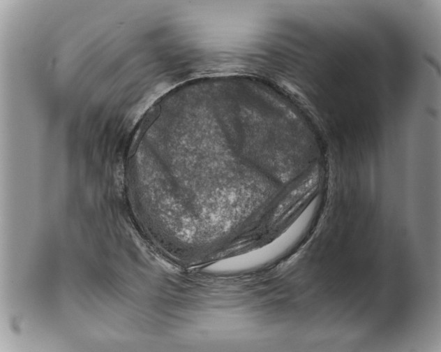 X0000099531457200806131117