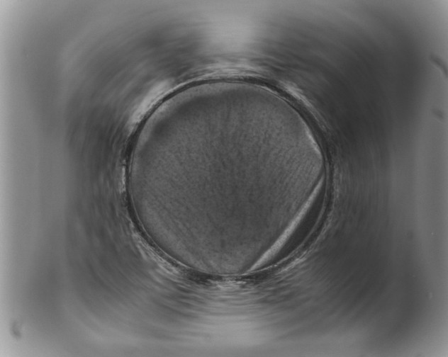 X0000099531459200806131117