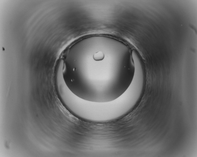 X0000099531460200806131117