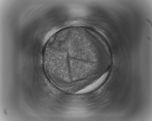 X0000099531461200806131117