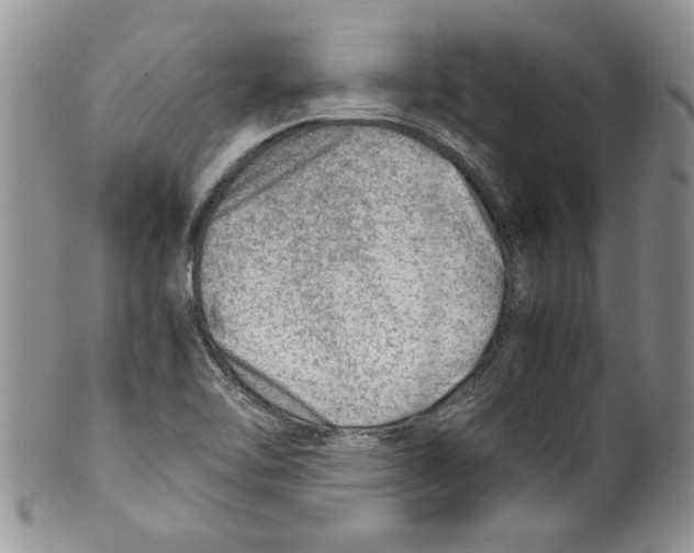 X0000099531462200806131117