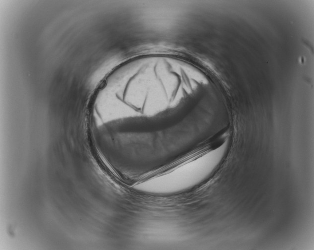 X0000099531463200806131117