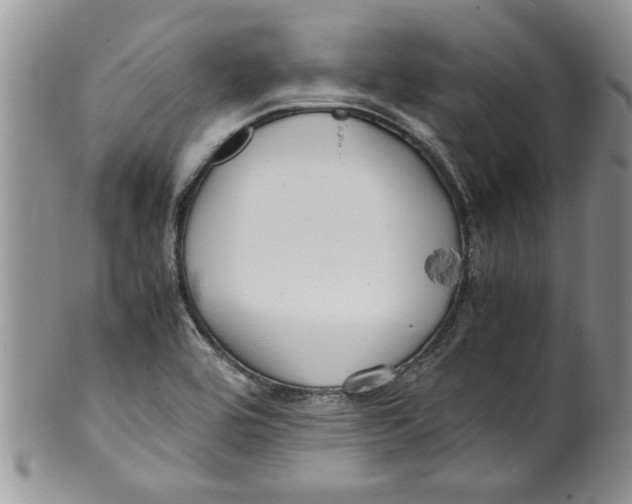 X0000099531464200806131117