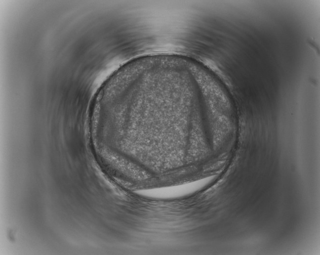 X0000099531469200806131117