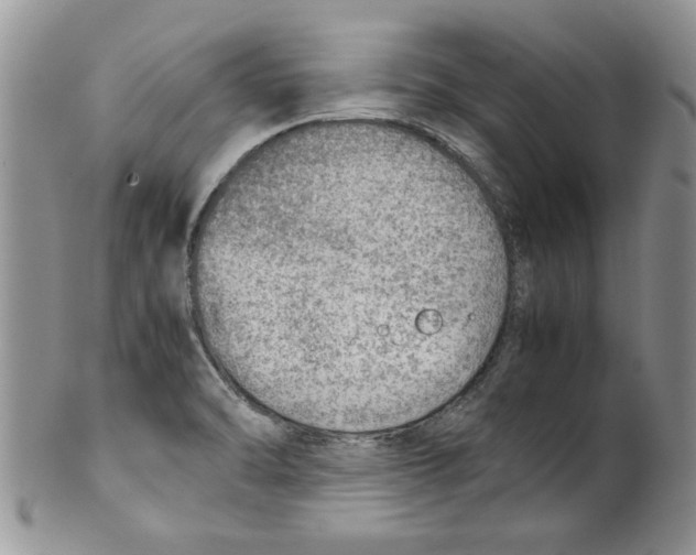 X0000099531470200806131117