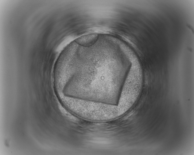 X0000099531471200806131117