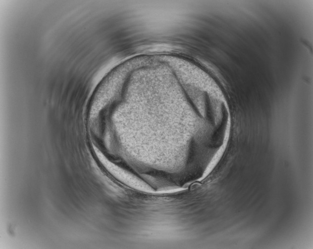 X0000099531475200806131117