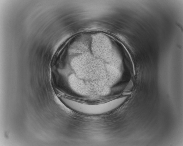 X0000099531476200806131117