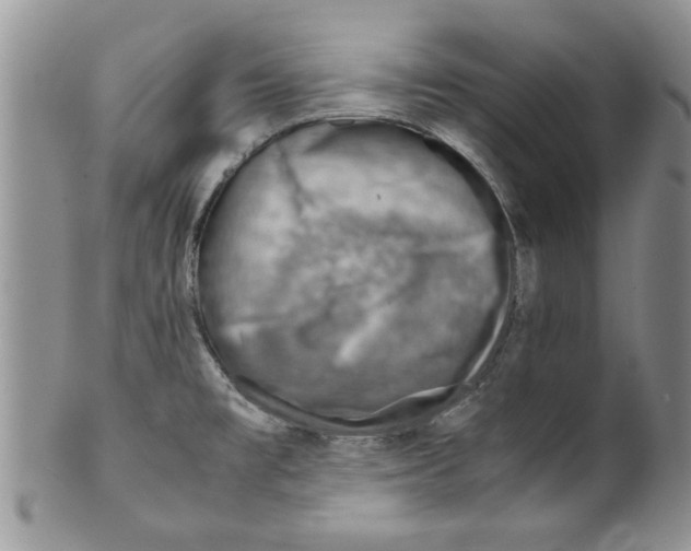 X0000099531477200806131117