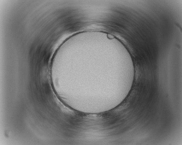 X0000099531478200806131117