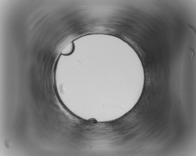 X0000099531479200806131117