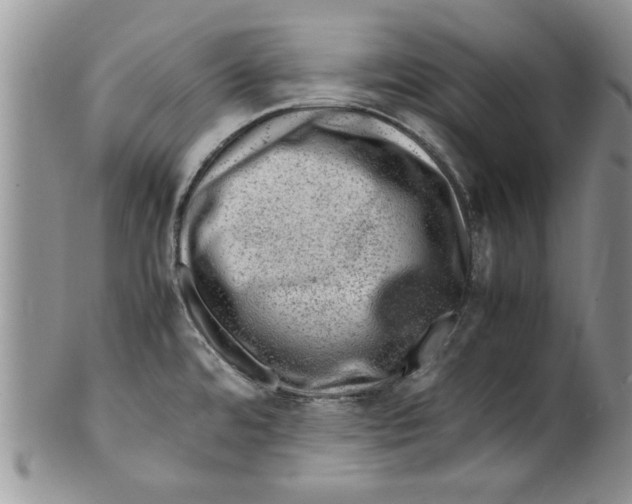 X0000099531480200806131116