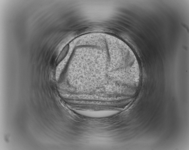 X0000099531481200806131116