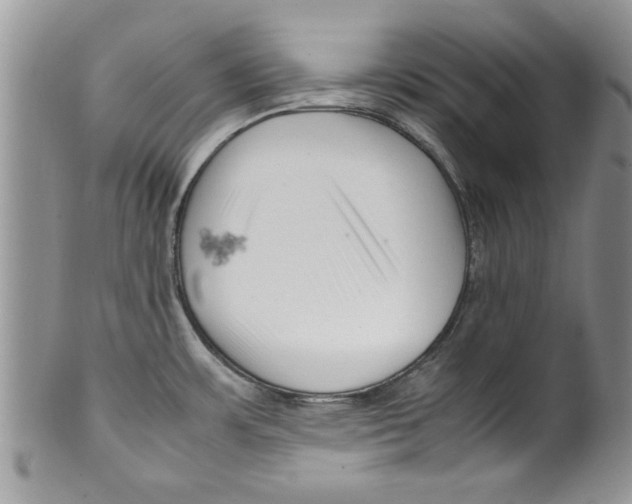 X0000099531483200806131116