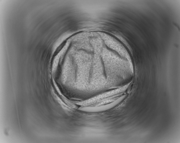 X0000099531485200806131116