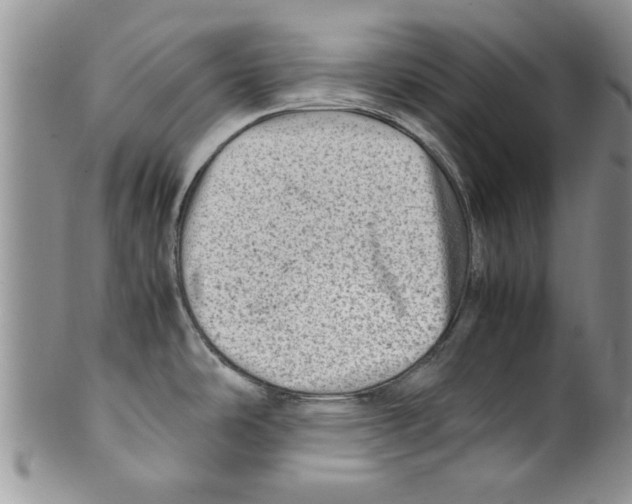 X0000099531486200806131116