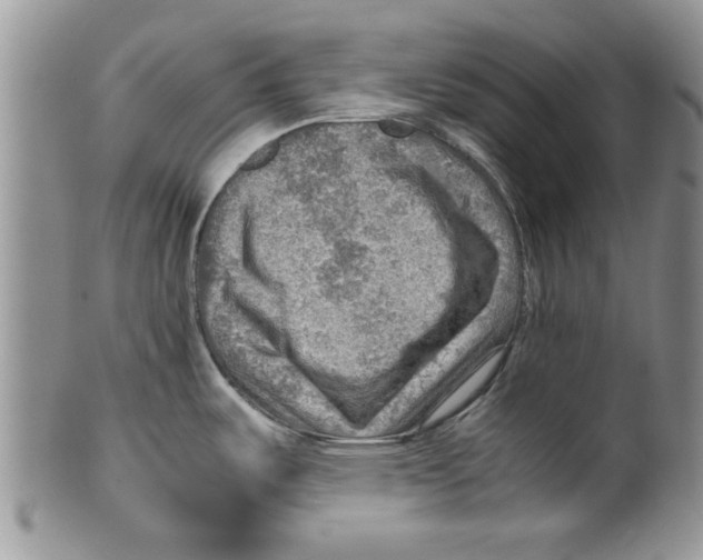 X0000099531487200806131116