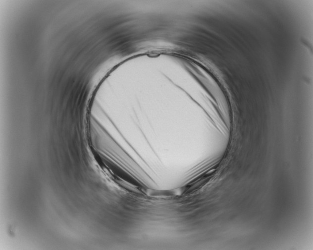 X0000099531488200806131116