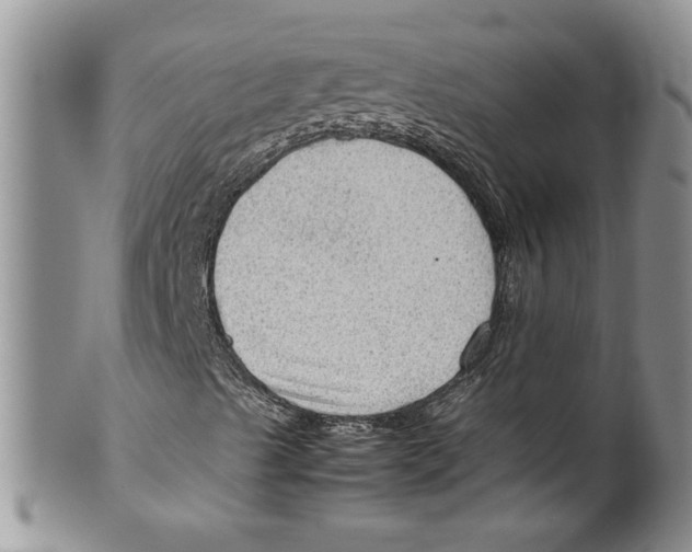 X0000099531489200806131116