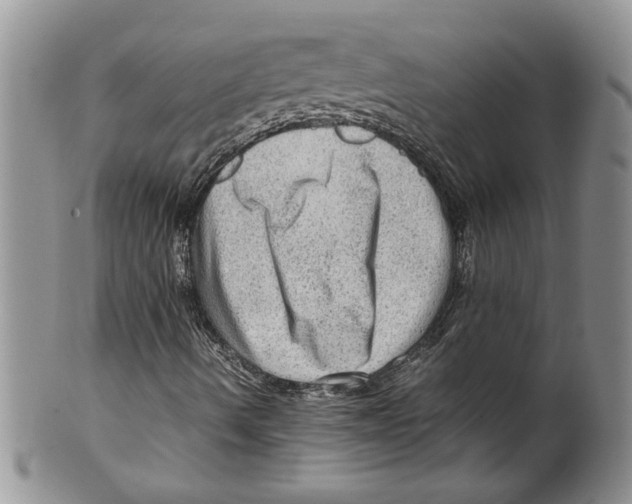 X0000099531490200806131116