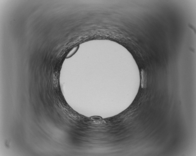 X0000099531491200806131116