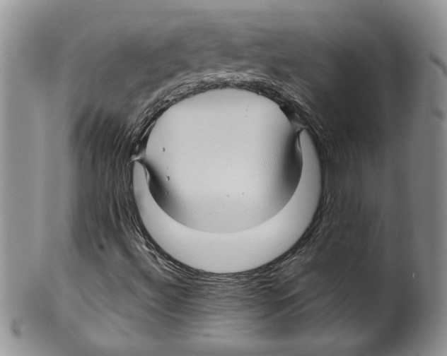 X0000099531492200806131116