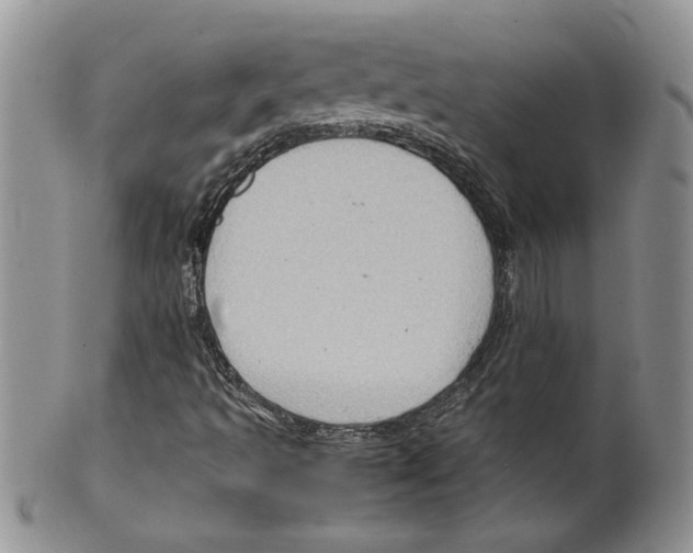 X0000099531493200806131116