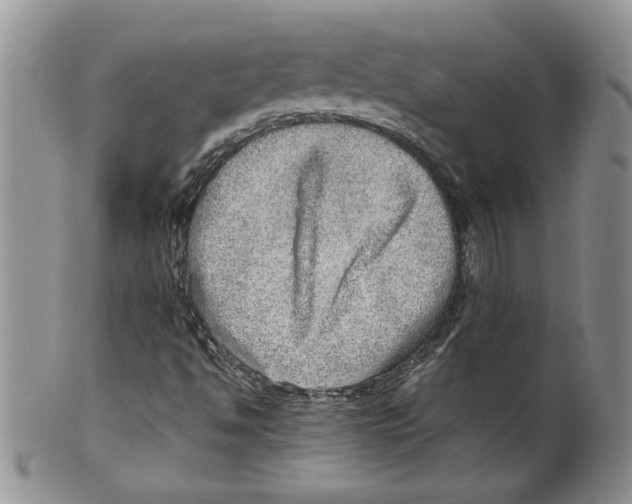 X0000099531494200806131116